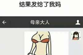 宁强服务项目