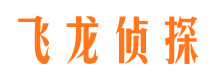 宁强市调查公司